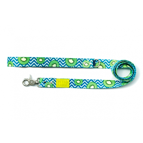 Correa Sport Kiwi - Correas para Perros