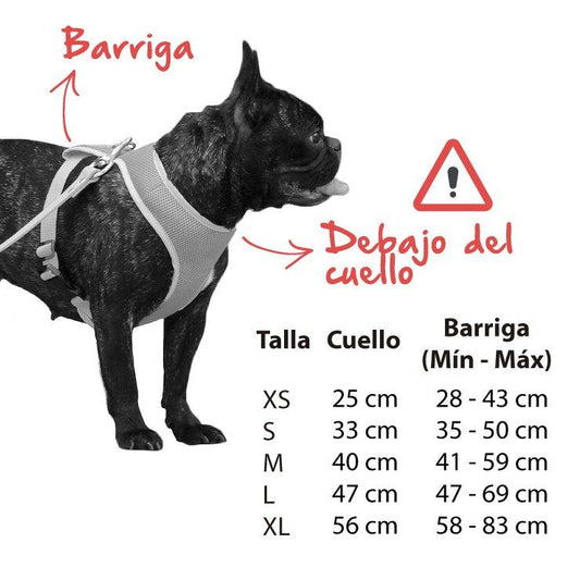Medidas pecheras para perro