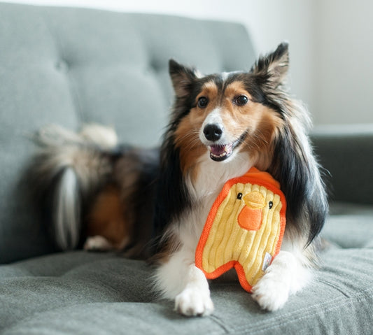 Outward Hound Invincibles Minis Chicky - Juguetes para Perros