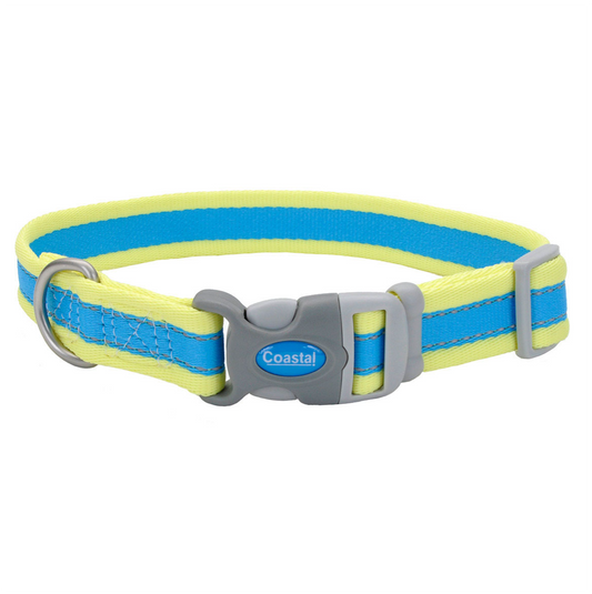 Coastal Pro Reflective Collar Aqua with Yellow - Collares para Perros