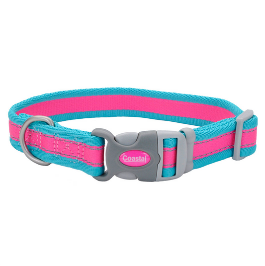 Coastal Pro Reflective Collar Fuscia with Teal - Collares para Perros