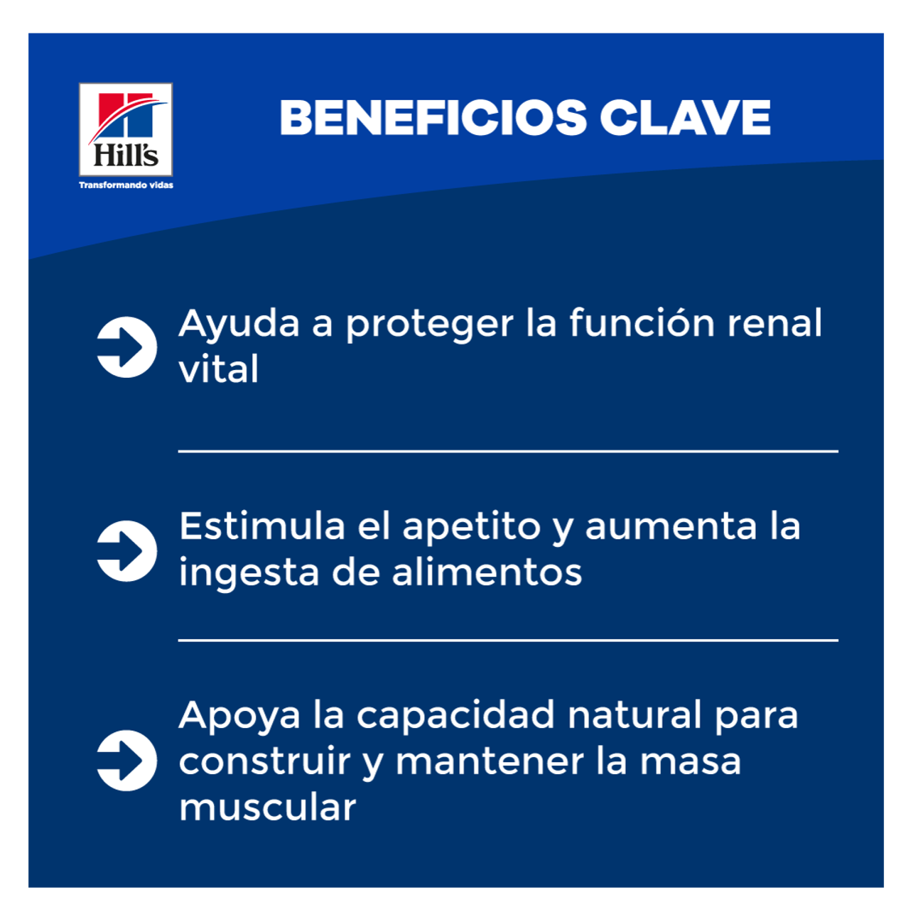 Hills Prescription Diet k/d Lata - Alimento Húmedo para Perros 