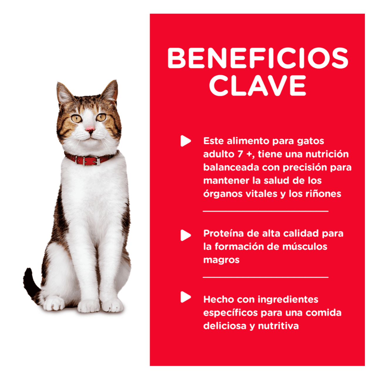 Hills Science Diet Adult 7+ Savory Turkey - Alimento Húmedo para Gatos