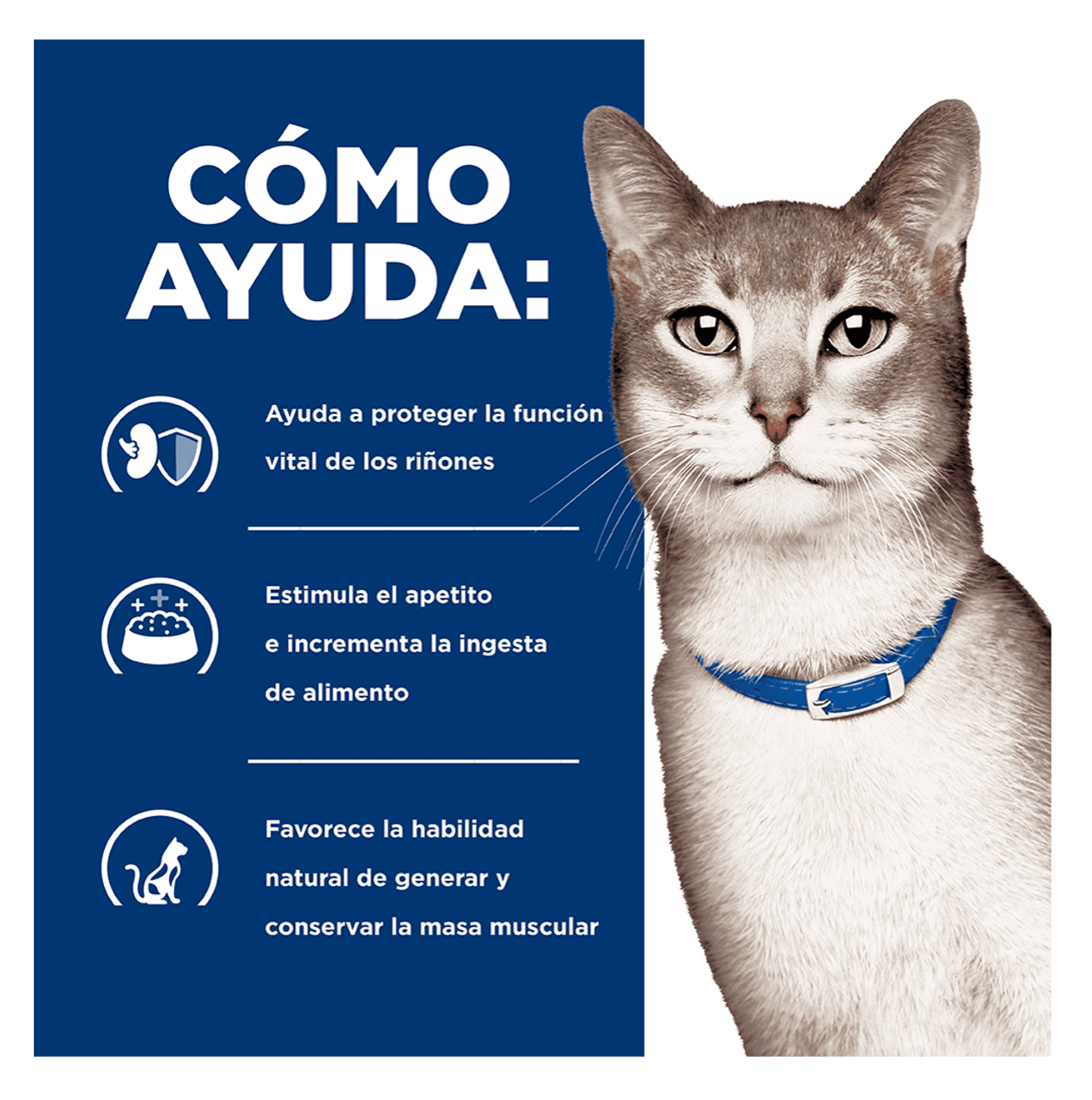 Hill's Prescription Diet k/d Lata - Alimento Húmedo para Gatos