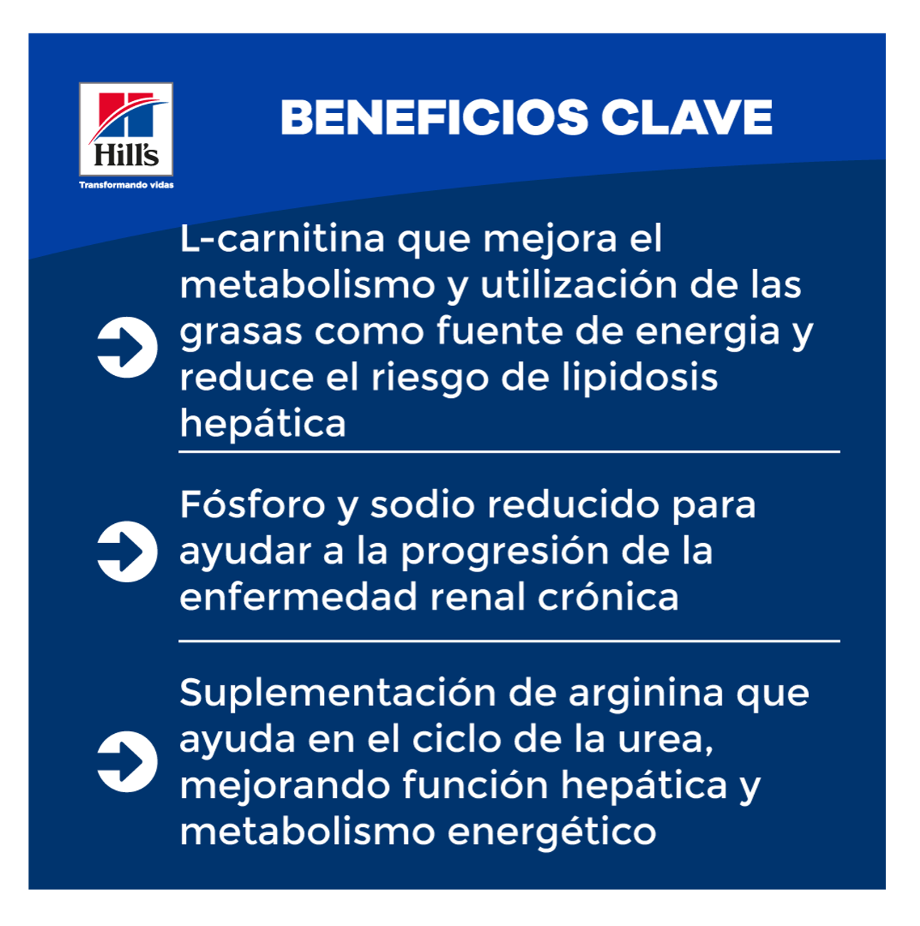 Hill's Prescription Diet k/d Lata - Alimento Húmedo para Gatos