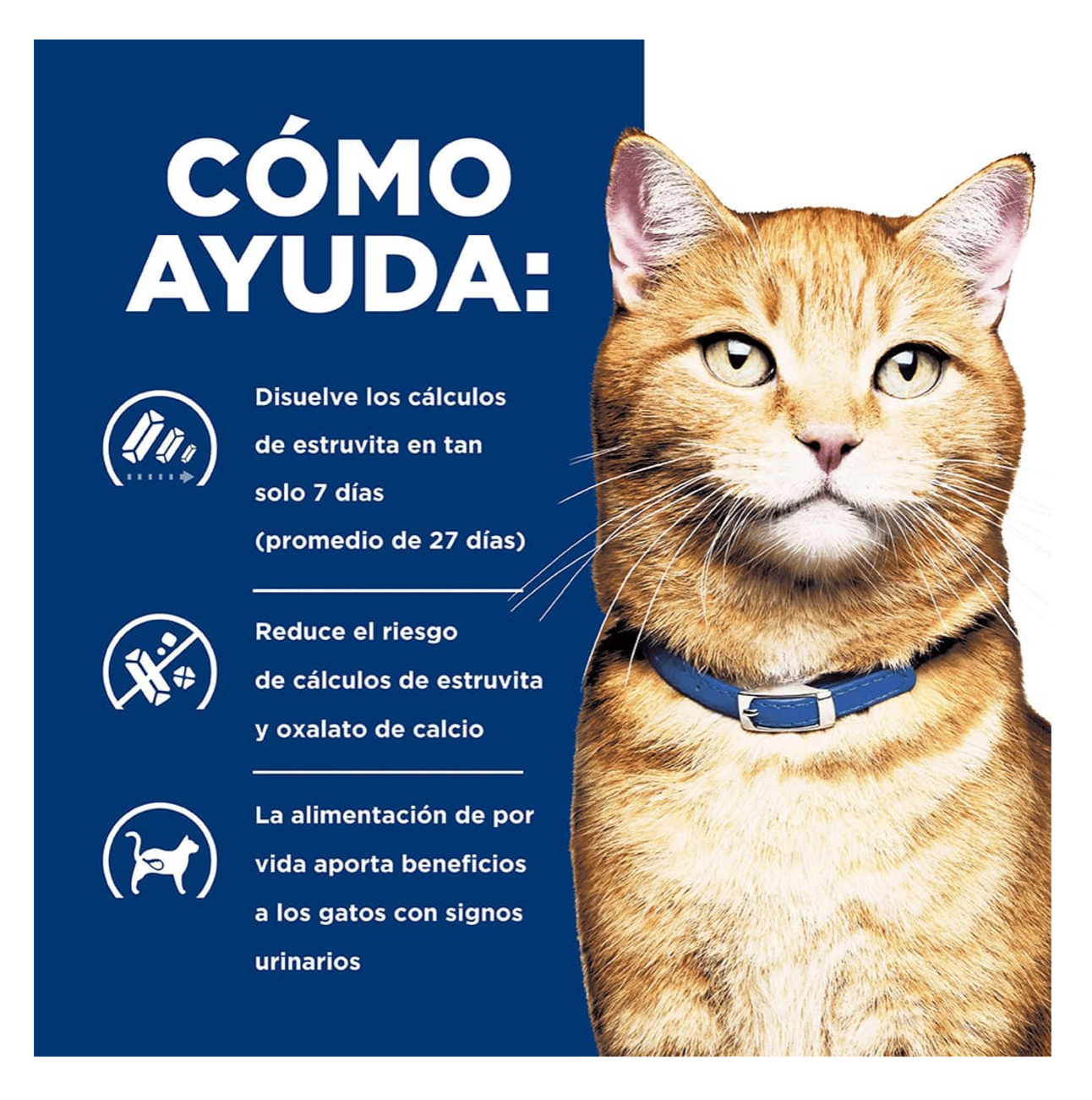 Hills Prescription Diet c/d Multicare Lata - Alimento Húmedo para Gato