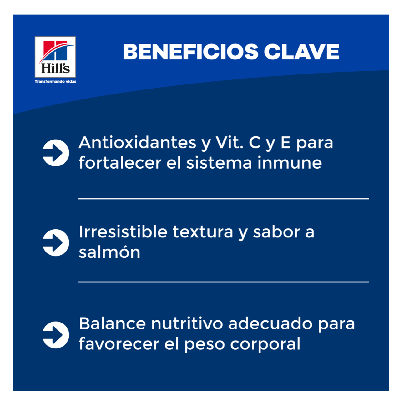 Hills Science Diet Adult Salmón Lata - Alimento Húmedo para Gatos