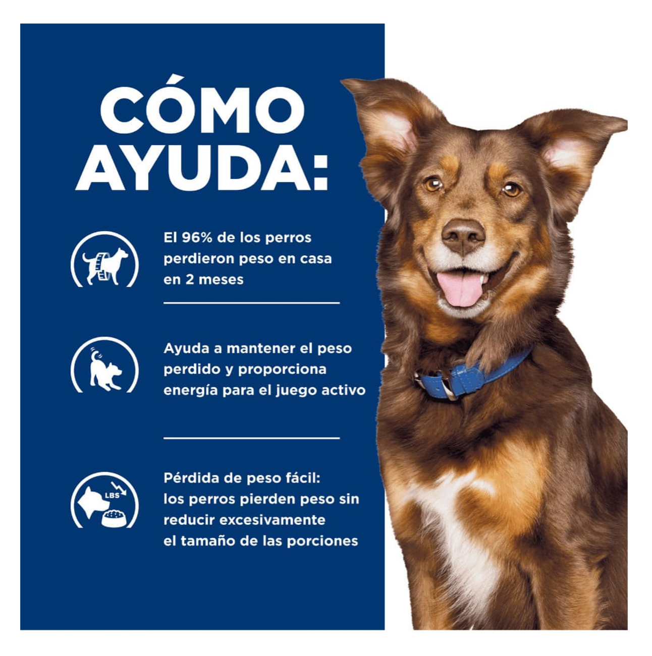 Hills Prescription Diet Metabolic Lata - Alimento para Perros
