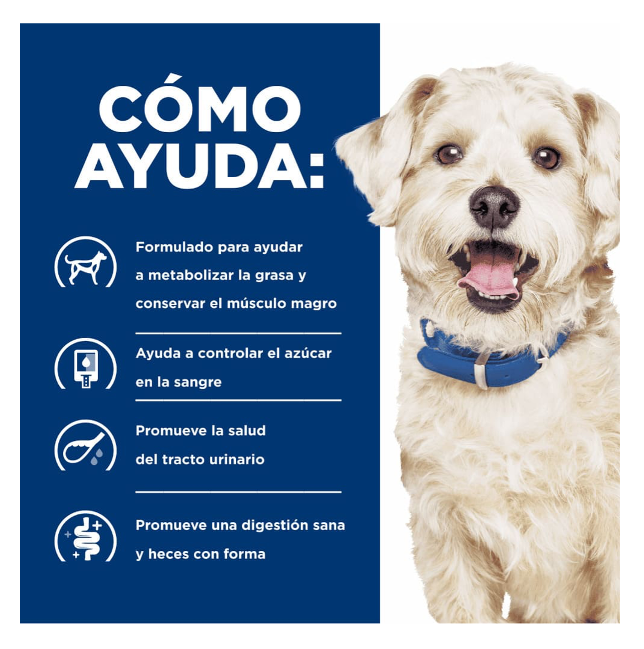 Hills Prescription Diet w/d Lata - Alimento Húmedo para Perros