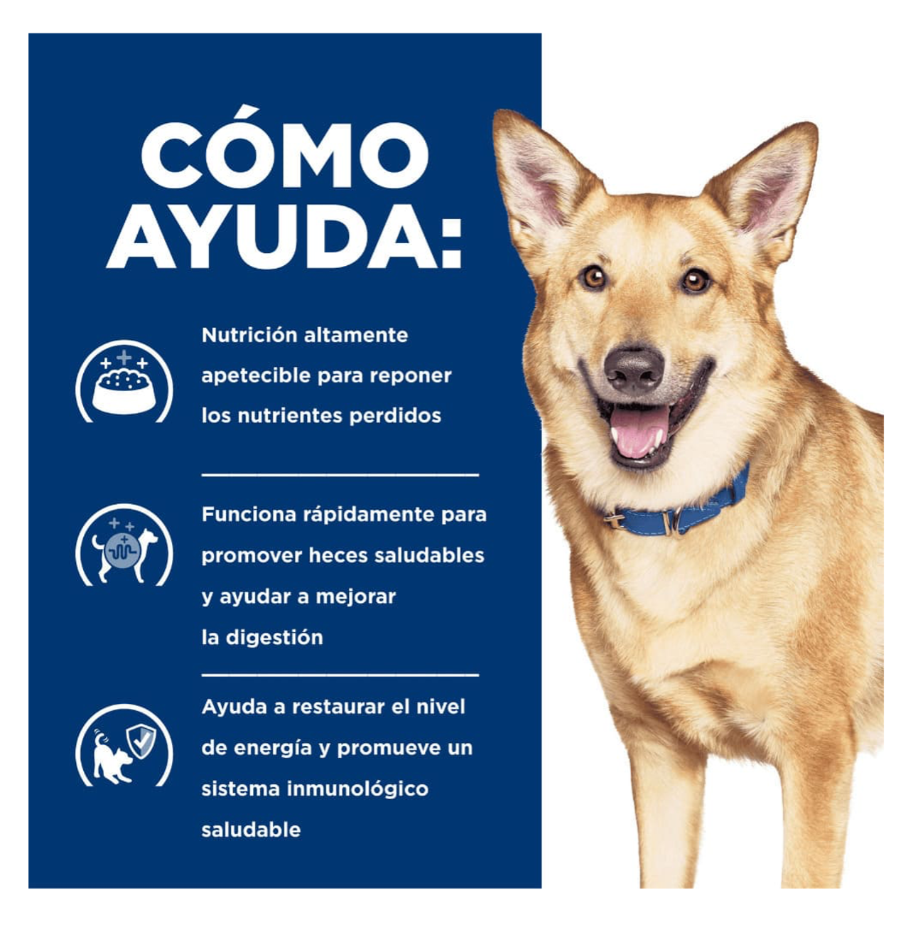 Hills Prescription Diet i/d Pollo y Vegetales - Alimento para Perros