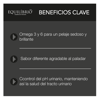 Equilíbrio Gatos Adultos Salmón - Alimento para Gatos