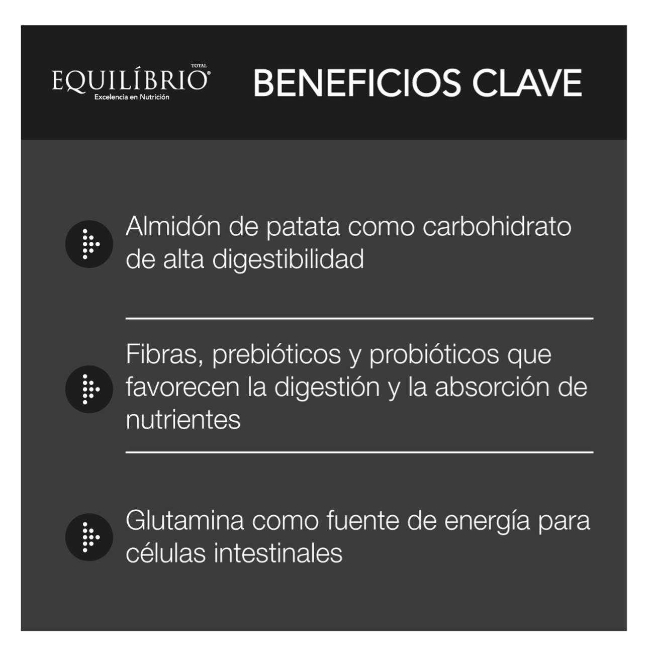 Equilíbrio Veterinary Cat Intestinal - Alimento para Gatos