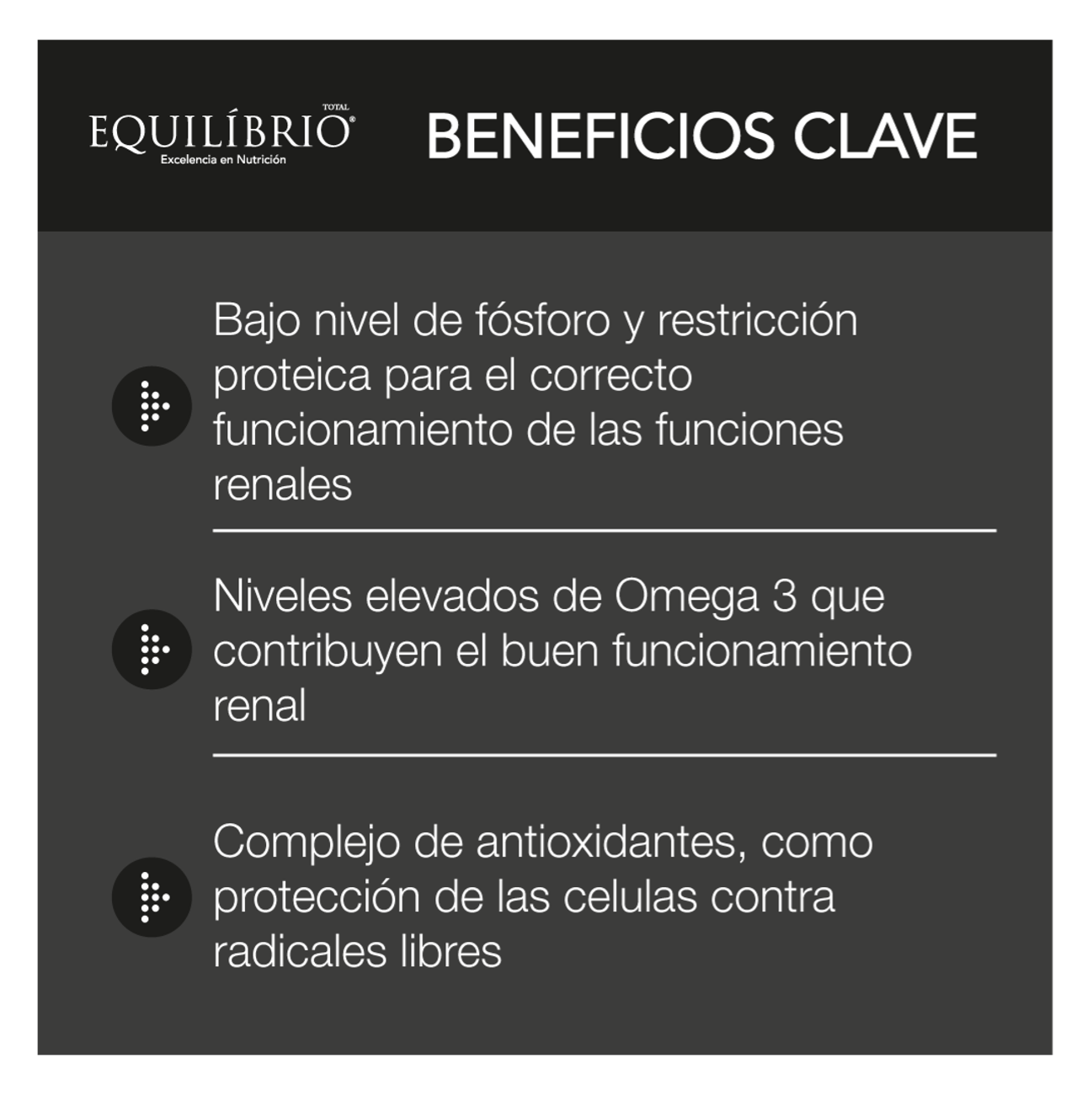 Equilíbrio Veterinary Cat Renal - Alimento para Gatos