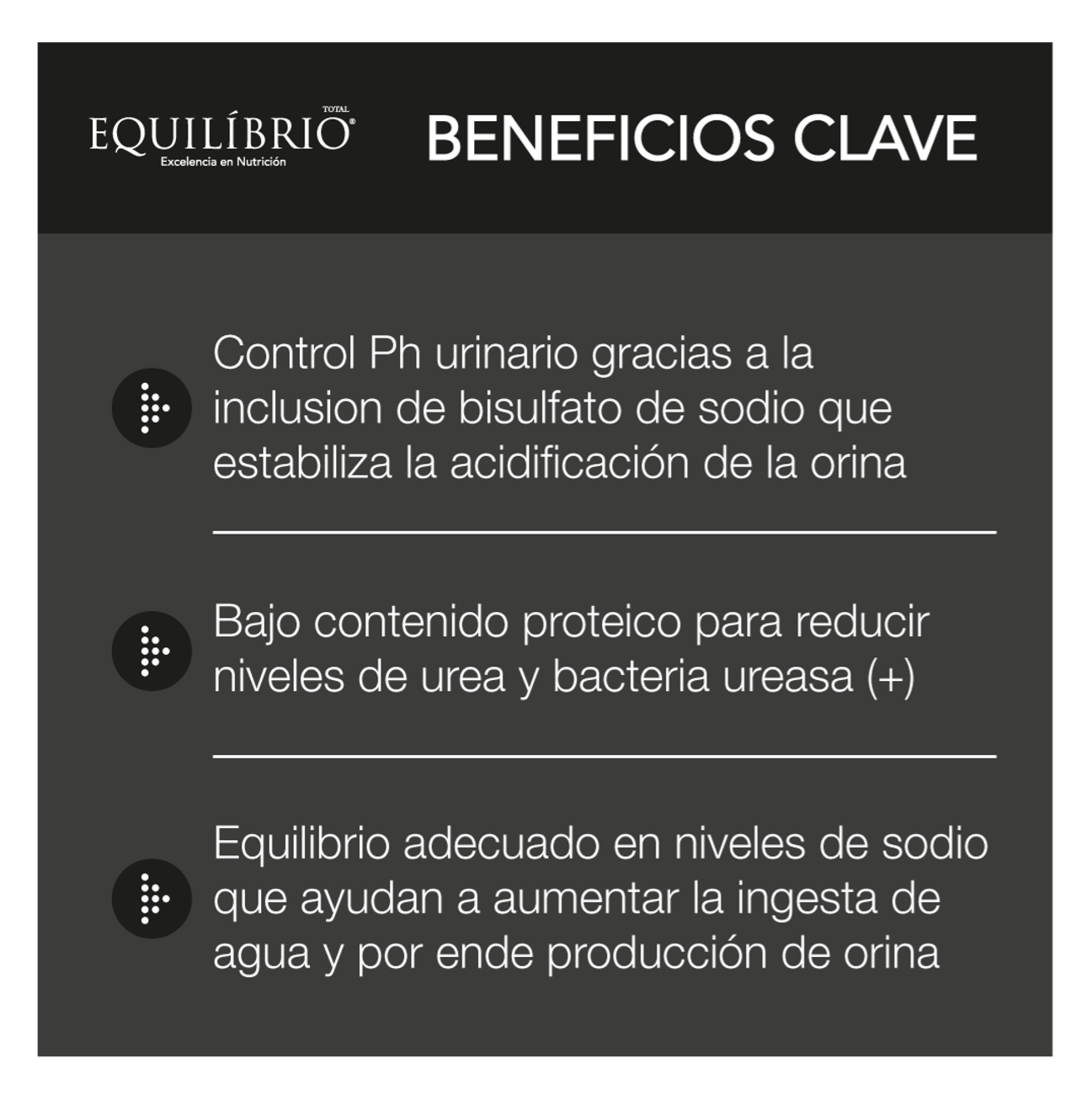 Equilíbrio Veterinary Cat Urinary - Alimento para Gatos