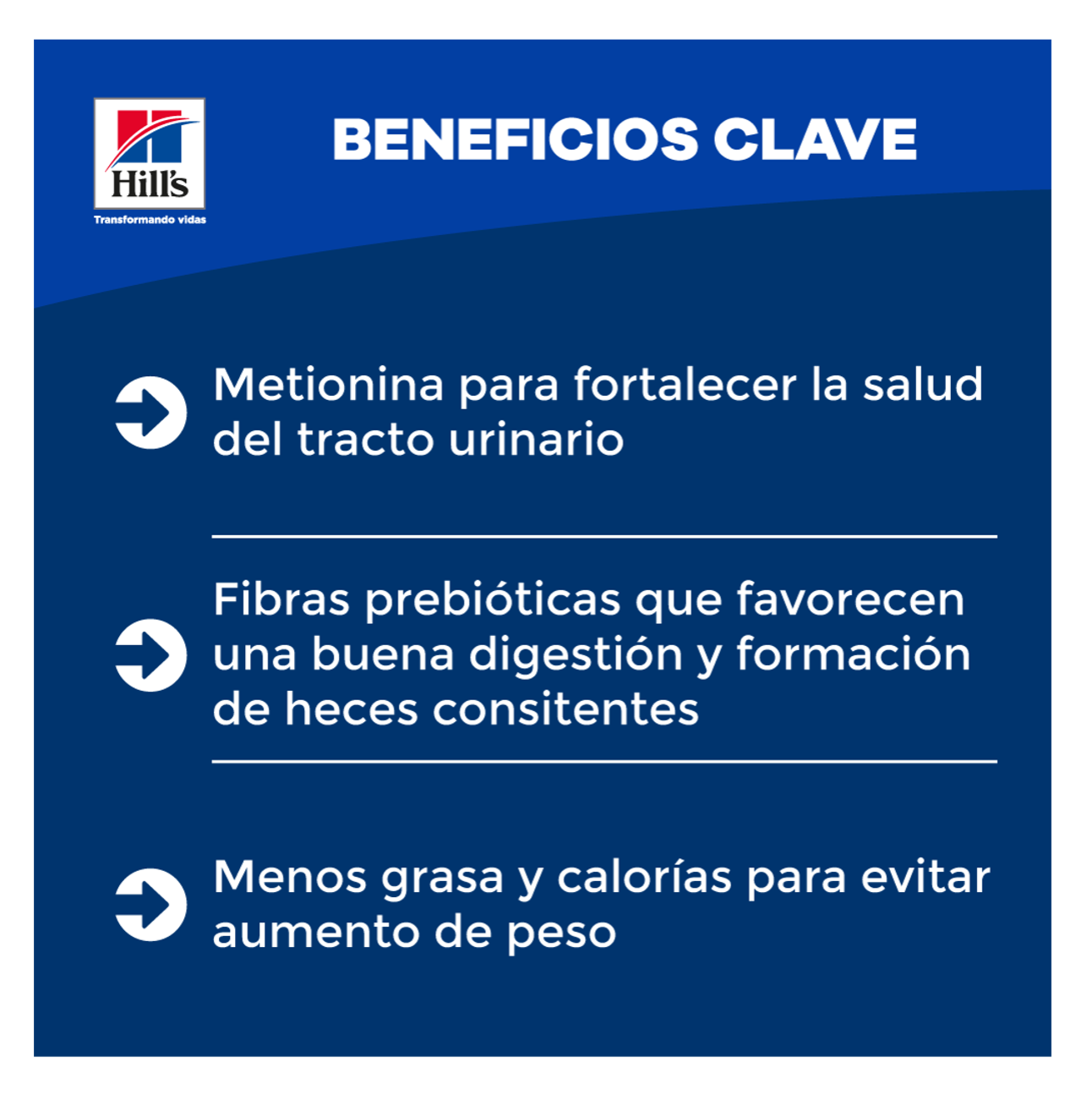 Hills Science Diet Adult 11+ Indoor - Alimento para Gatos