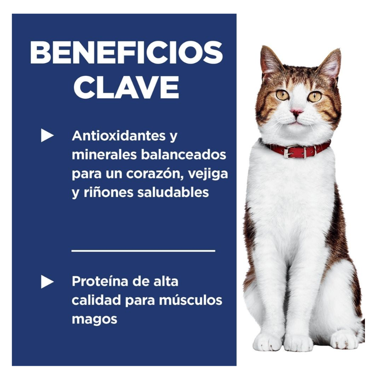 Hills Science Diet Adult 7+ - Alimento para Gatos
