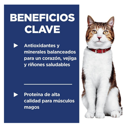 Hills Science Diet Adult 7+ - Alimento para Gatos