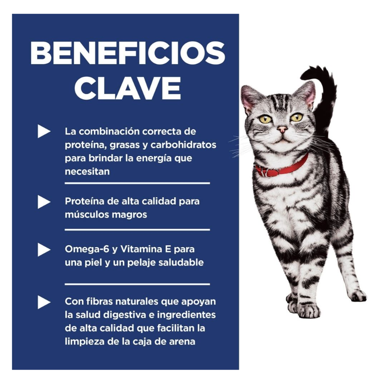 Hills Science Diet Adult Indoor - Alimento para Gatos