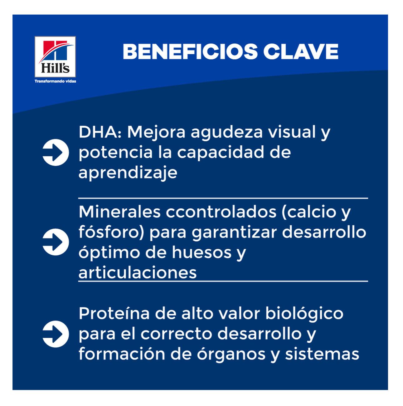 Hills Science Diet Kitten - Alimento para Gatos