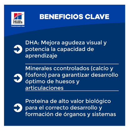 Hills Science Diet Kitten - Alimento para Gatos