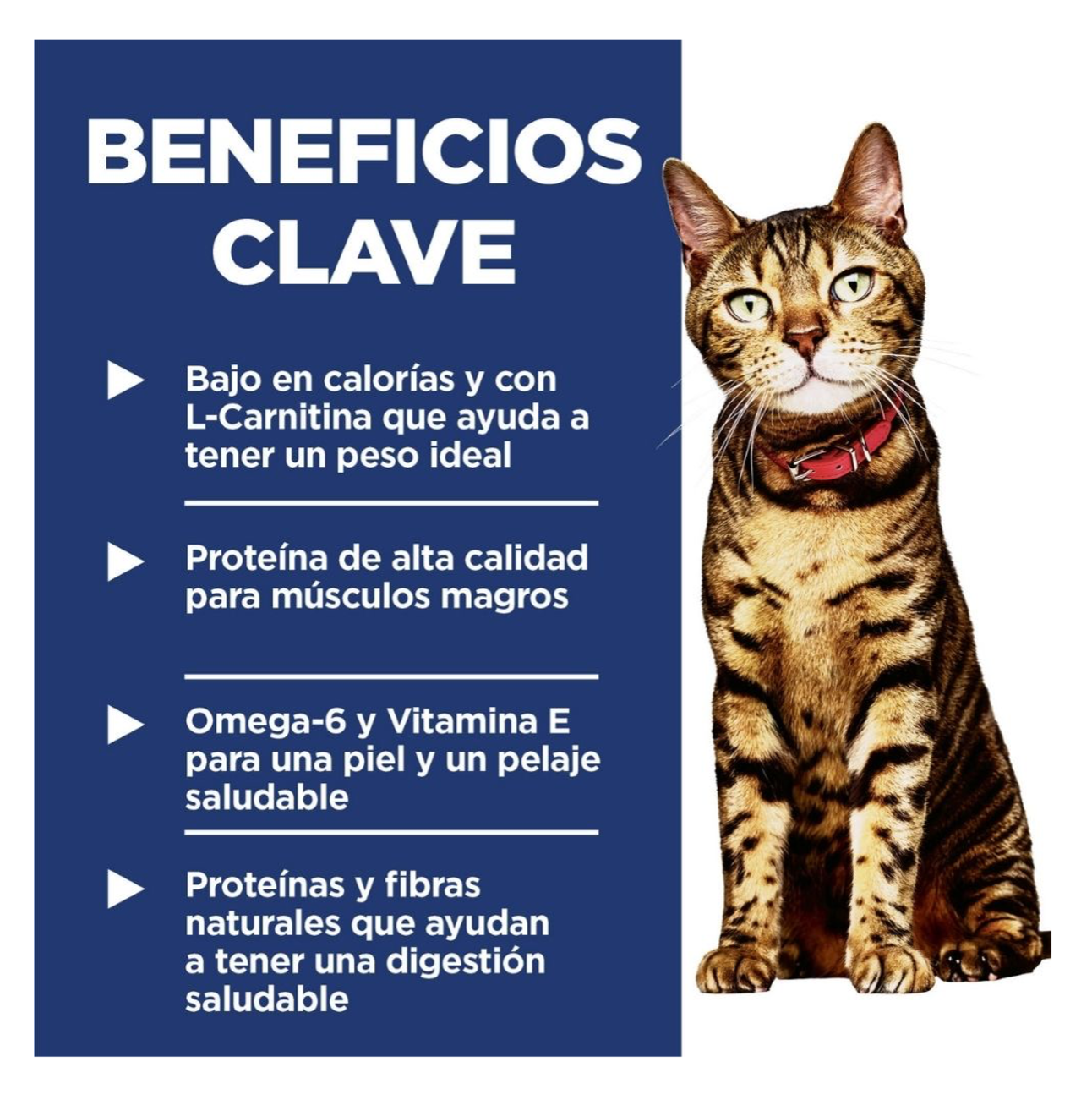 Hills Science Diet Adult Light - Alimento para Gatos