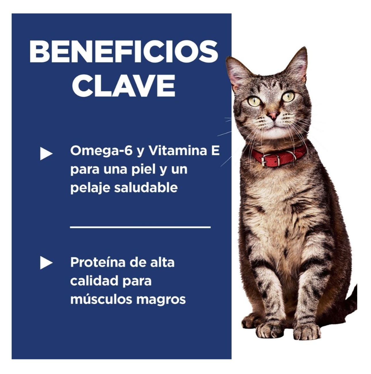 Hills Science Diet Feline Adult - Alimento para Gatos