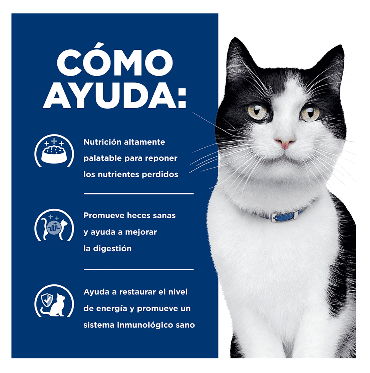 Hills Prescription Diet i/d - Alimento para Gatos