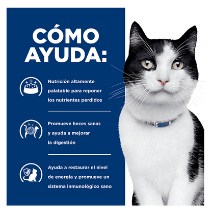 Hills Prescription Diet i/d - Alimento para Gatos