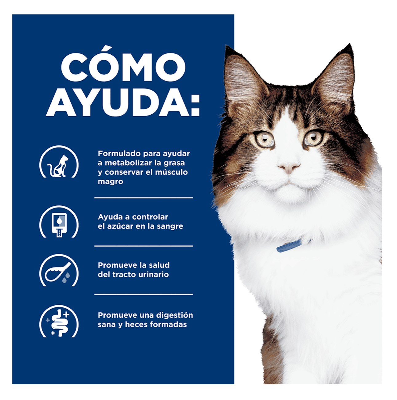 Hills Prescription Diet w/d - Alimento para Gatos