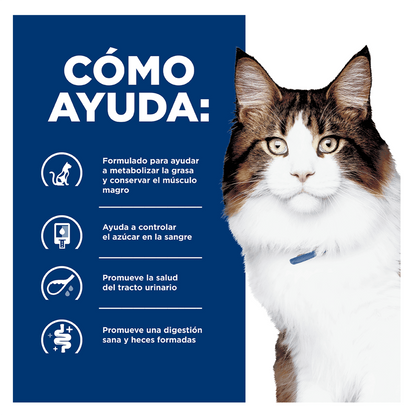 Hills Prescription Diet w/d - Alimento para Gatos
