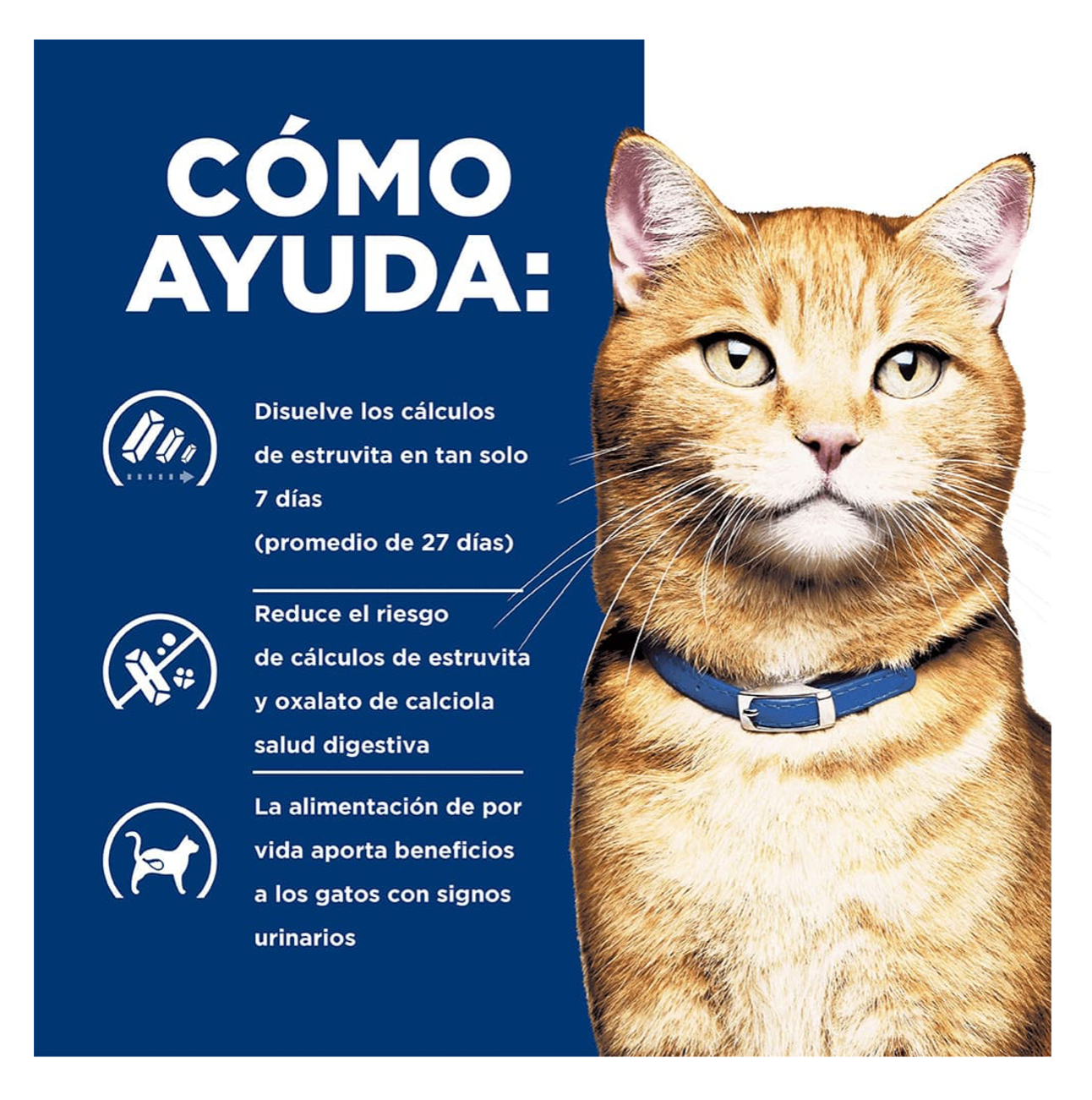 Hills Prescription Diet c/d Multicare - Alimento para Gatos