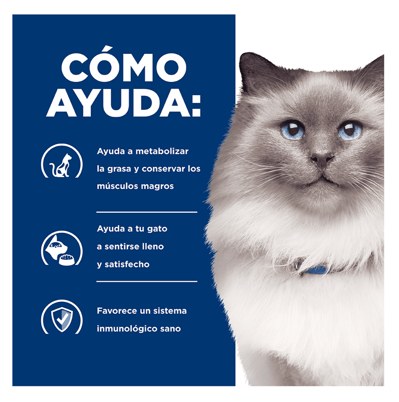 Hills Prescription Diet r/d - Alimento para Gatos
