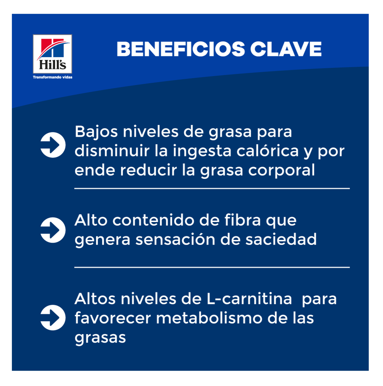 Hills Prescription Diet r/d - Alimento para Gatos