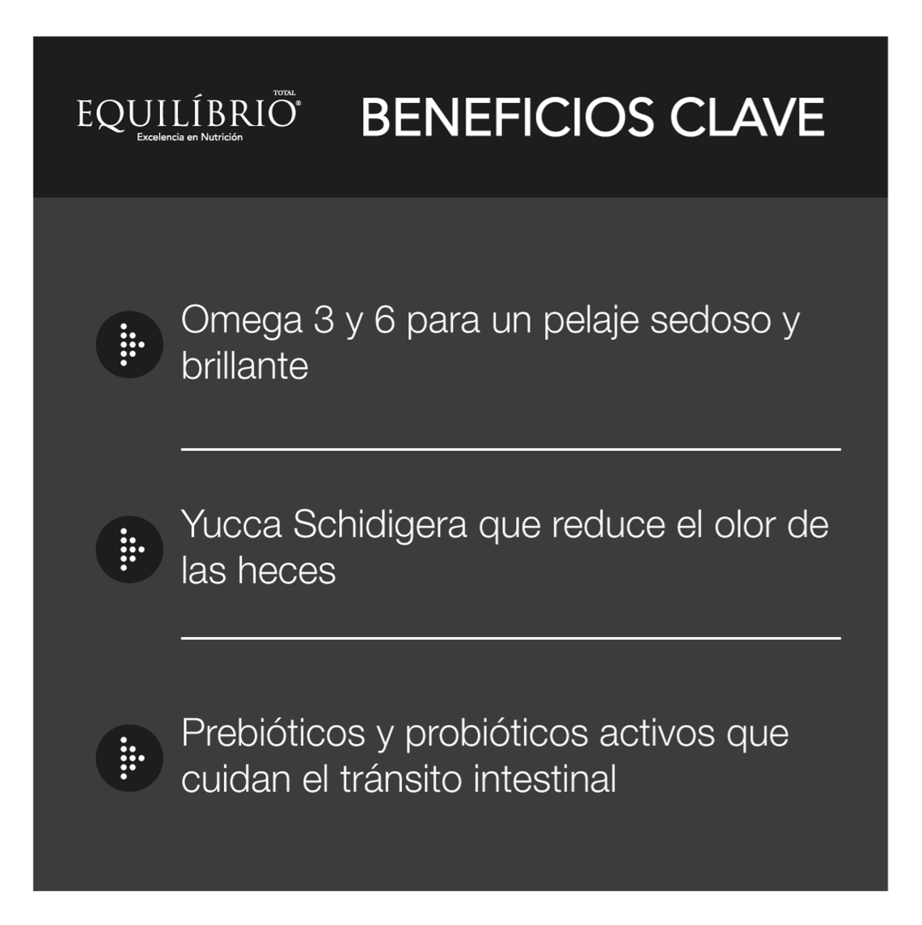 Equilíbrio Adultos Todas las Razas - Alimento para Perros