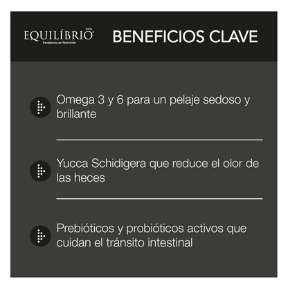 Equilíbrio Adultos Todas las Razas - Alimento para Perros