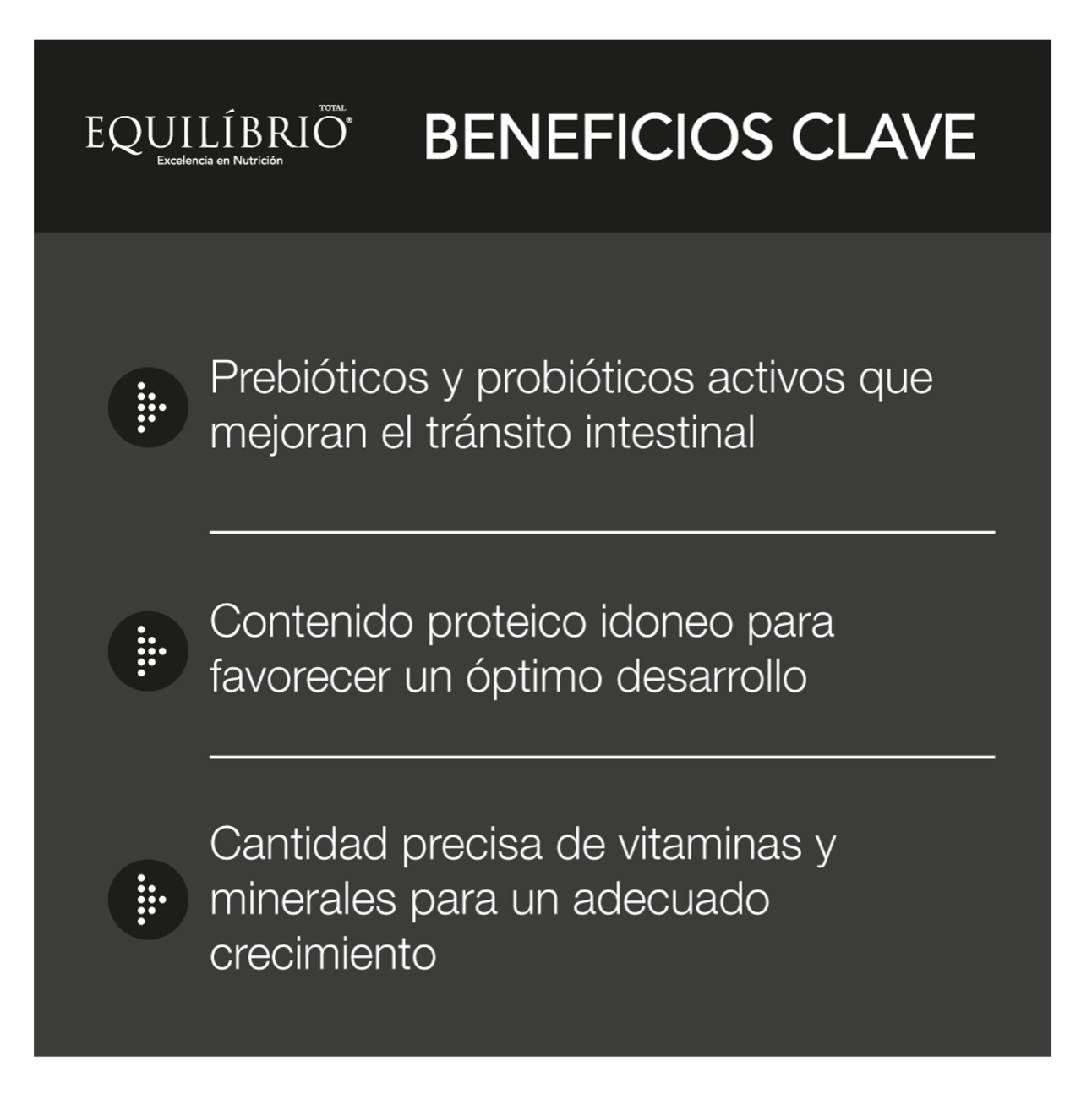 Equilíbrio Cachorros Razas Pequeñas