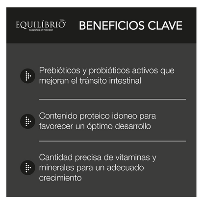 Equilíbrio Cachorros Razas Pequeñas