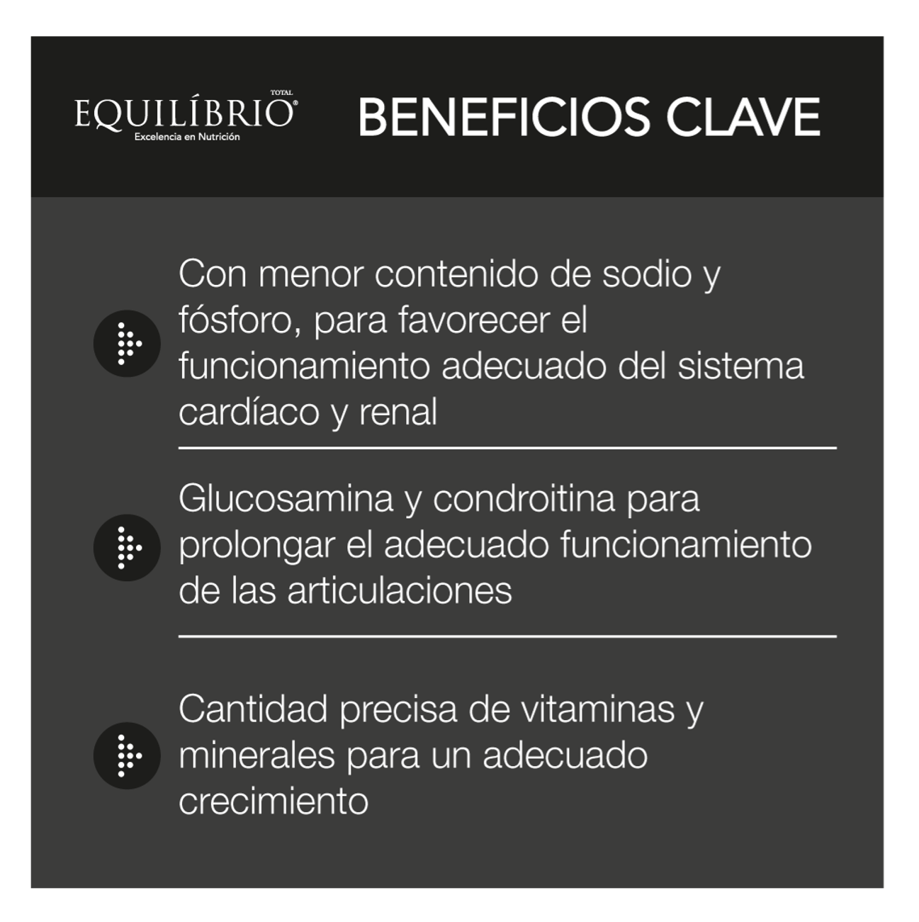 Equilíbrio Mature 7+ Razas Pequeñas - Alimento para Perros