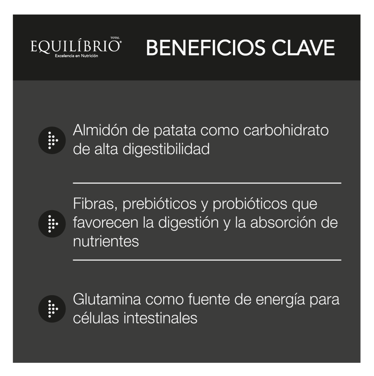 Equilíbrio Veterinary Intestinal - Alimento para Perros