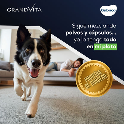 Grand Vita Adultos Cordero - Alimento para Perros