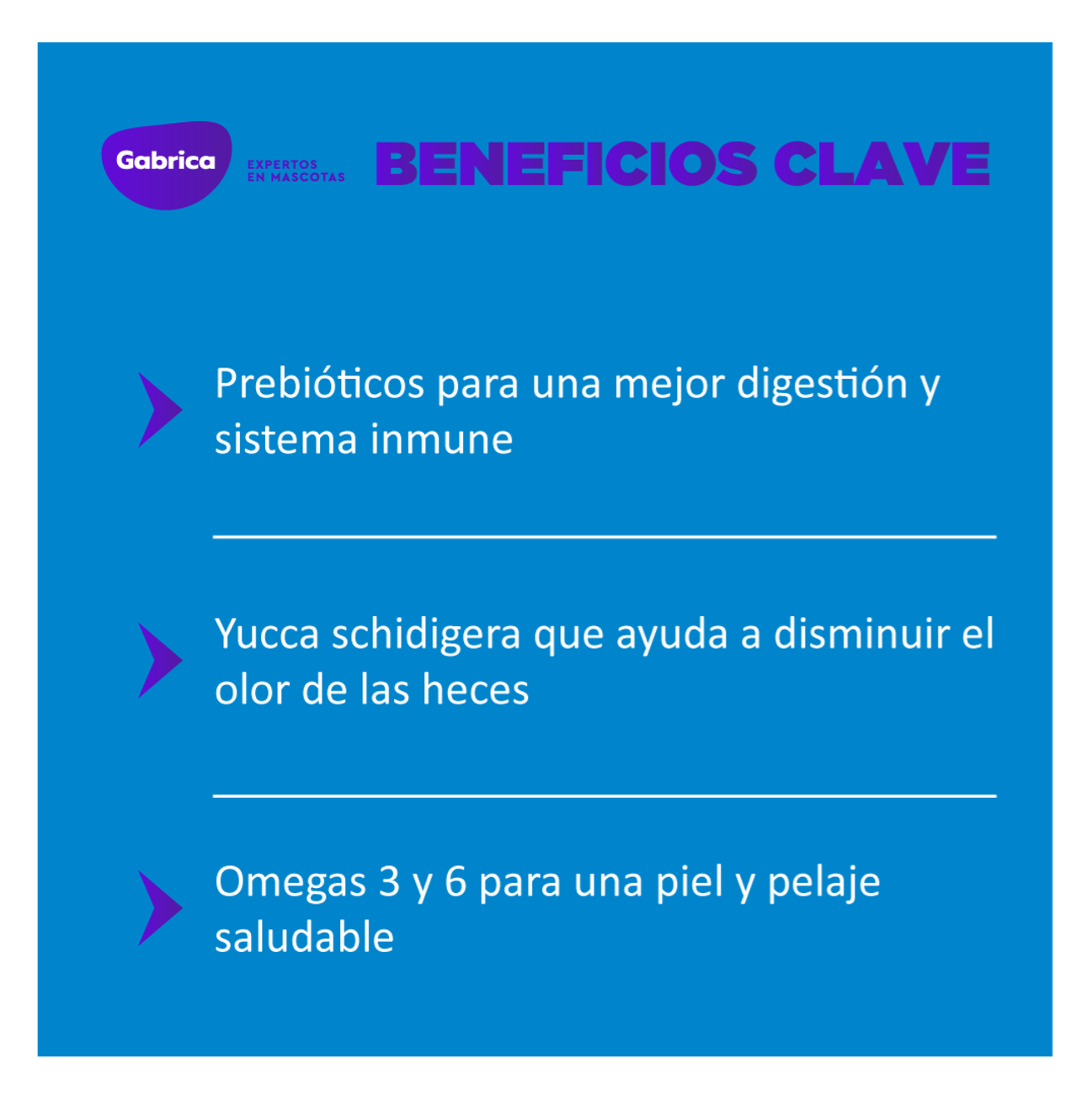 Guaumor Cachorros Razas Medianas y Grandes - Alimento para Perros