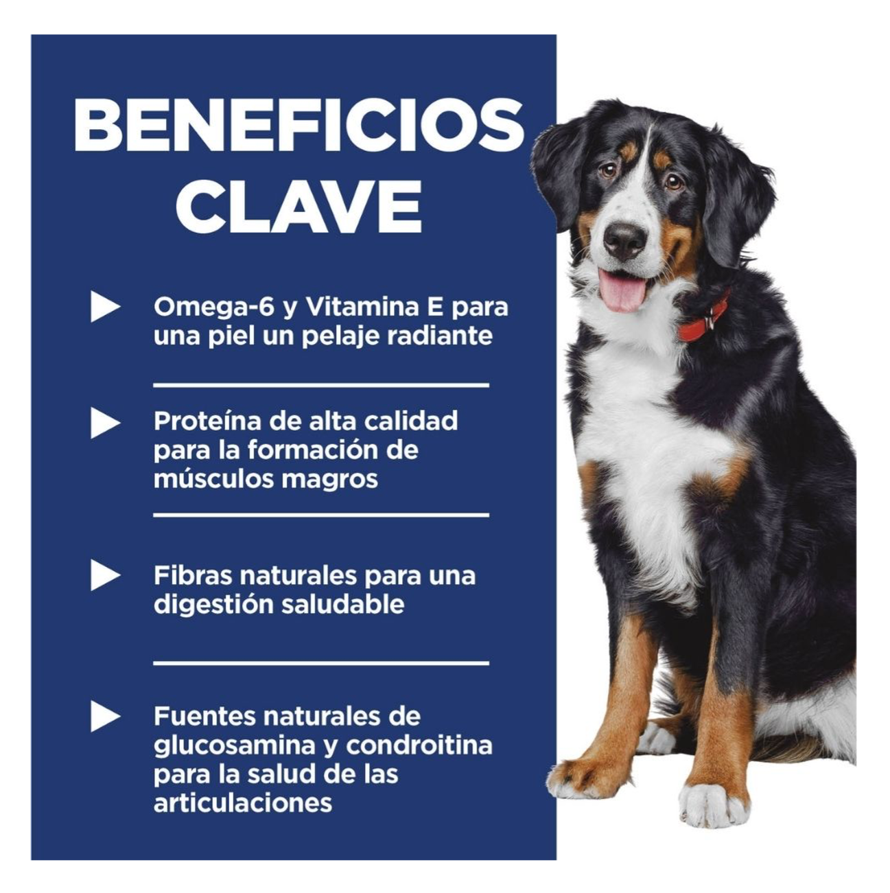 Hill's Science Diet Adult Large Breed - Alimento para Perros