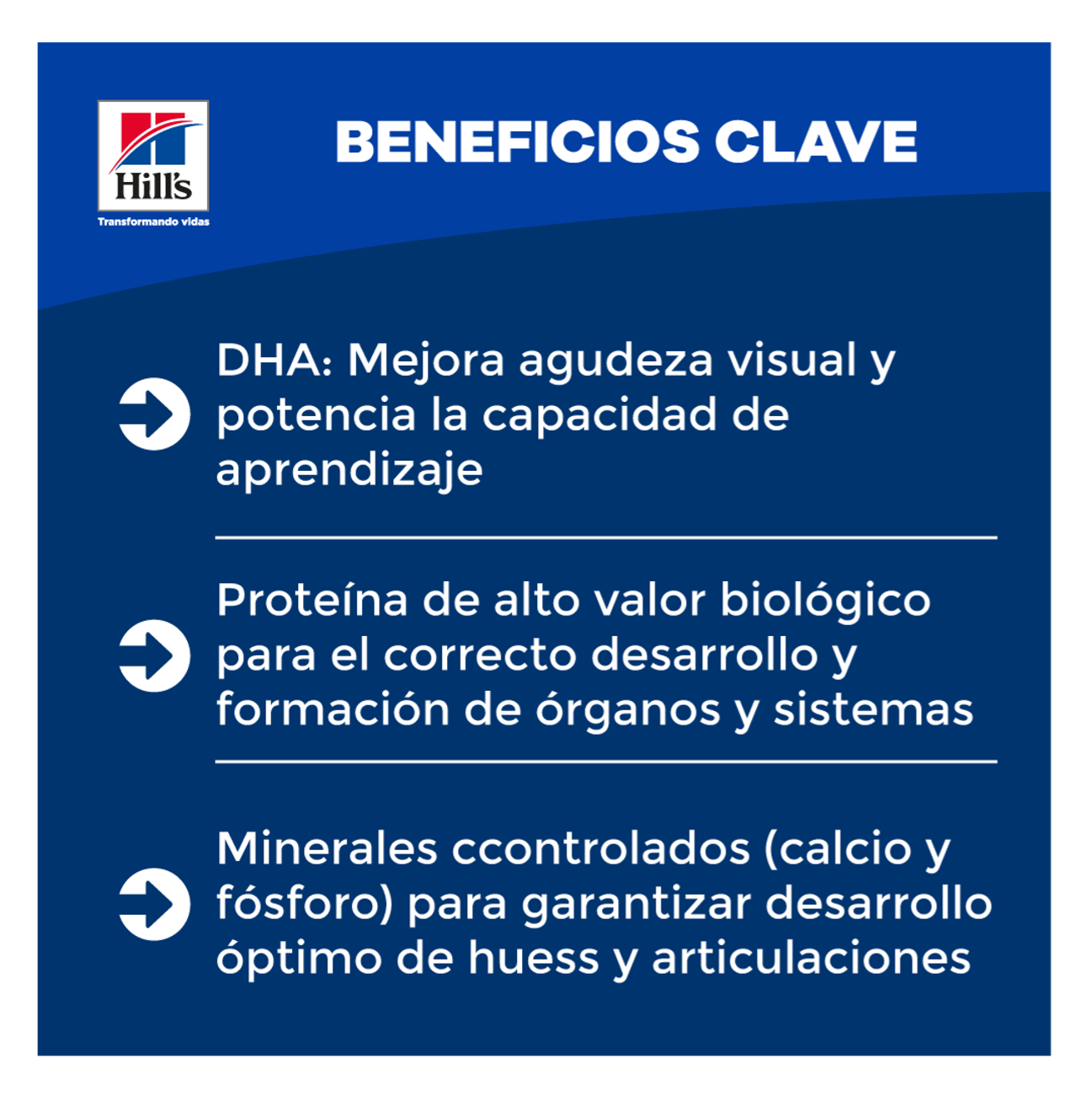 Hill's Science Diet Puppy Large Breed - Alimento para Perros