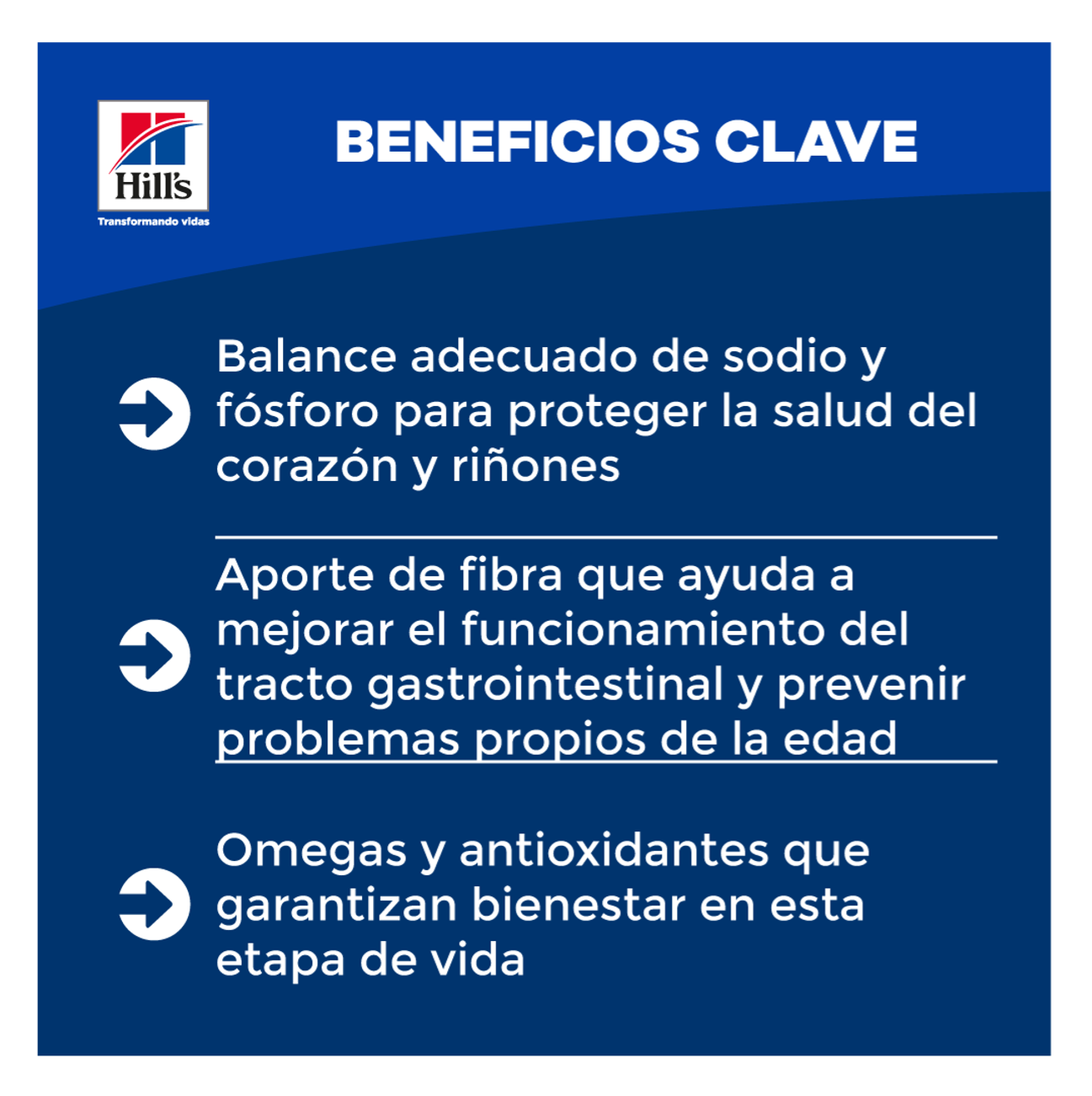 Hill's Science Diet Adult 7+ - Alimento para Perros