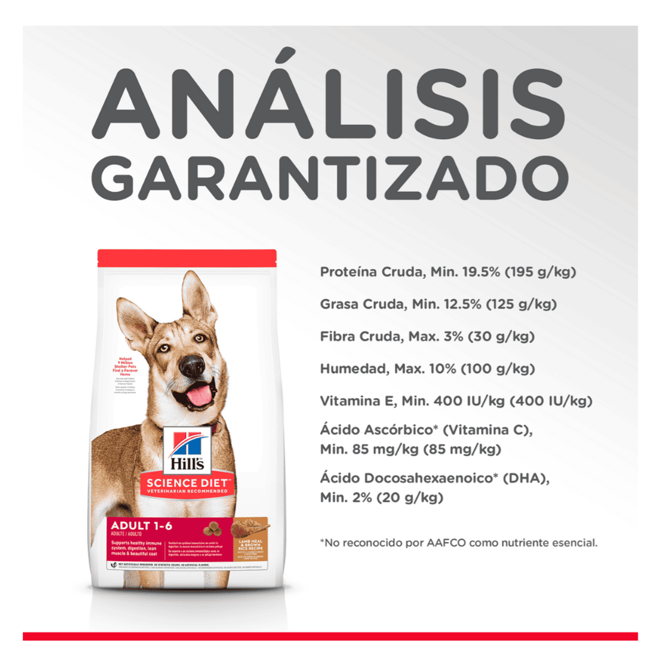 Hill's Science Diet Adult Lamb and Rice - Alimento para Perros