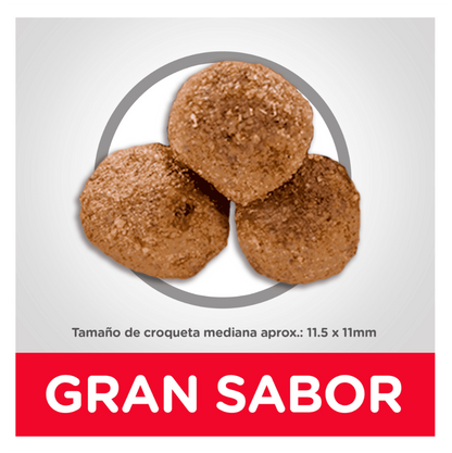 Hill's Science Diet Adult Lamb and Rice - Alimento para Perros