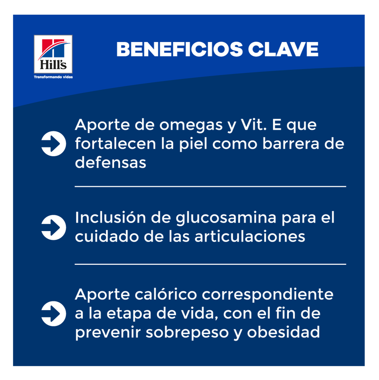 Hill's Science Diet Adult Lamb and Rice - Alimento para Perros