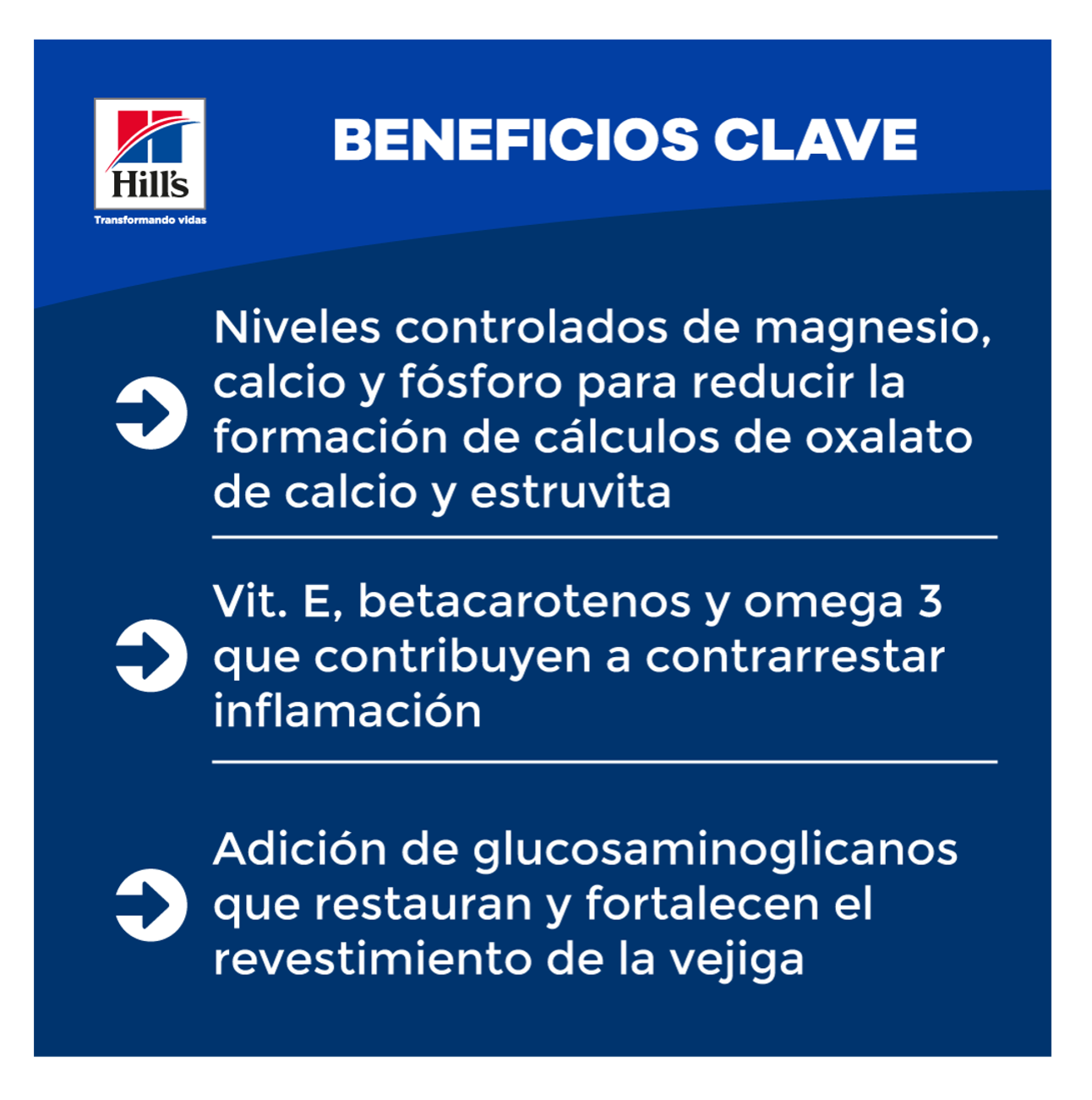 Hills Prescription Diet c/d Multicare - Alimento para Perros