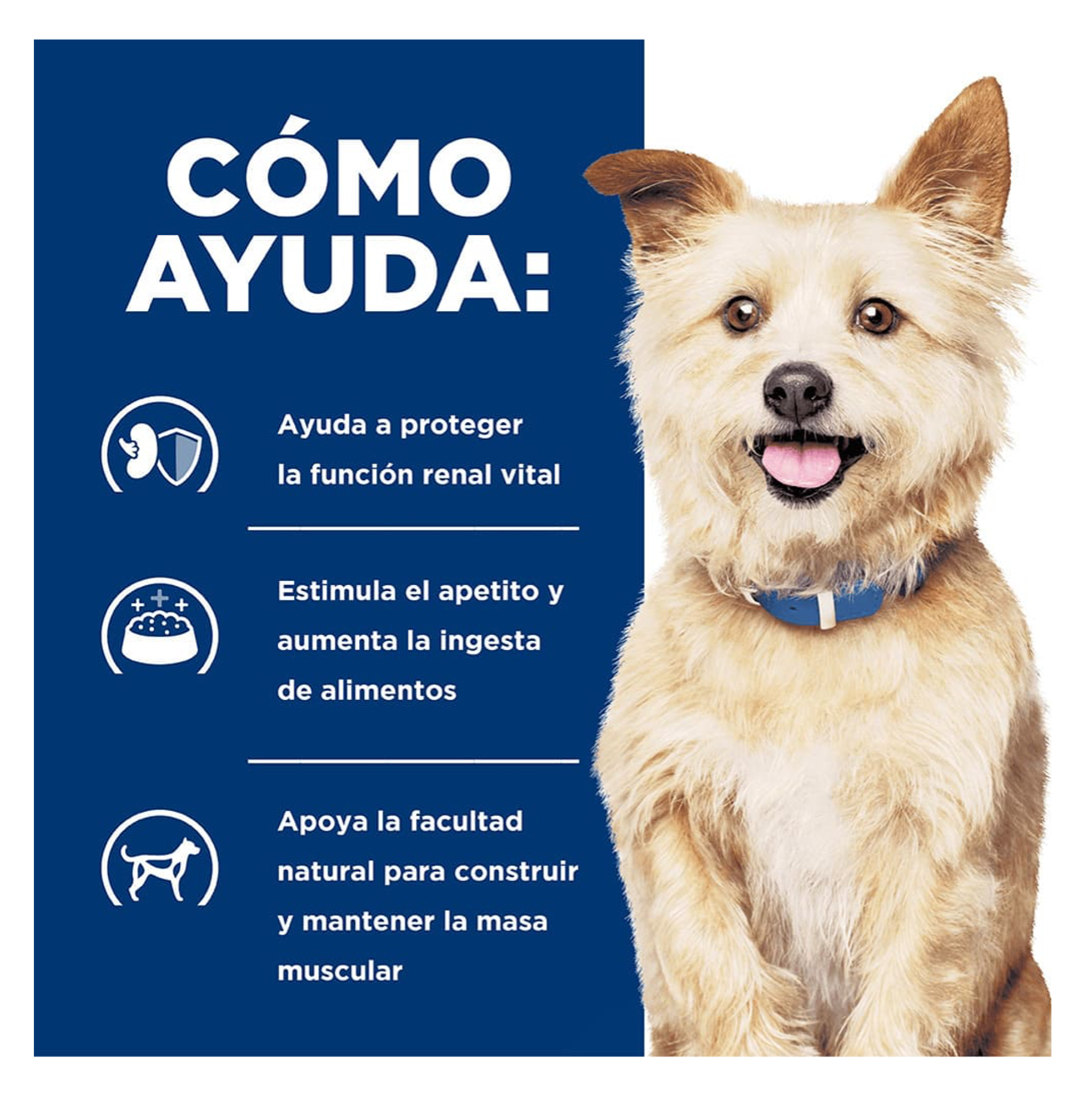Hills Prescription Diet k/d - Alimento para Perros