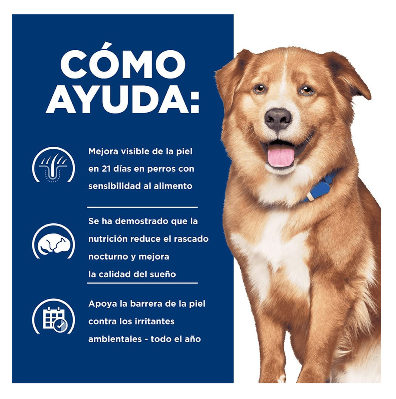 Hills Prescription Diet Derm Complete - Alimento para Perros